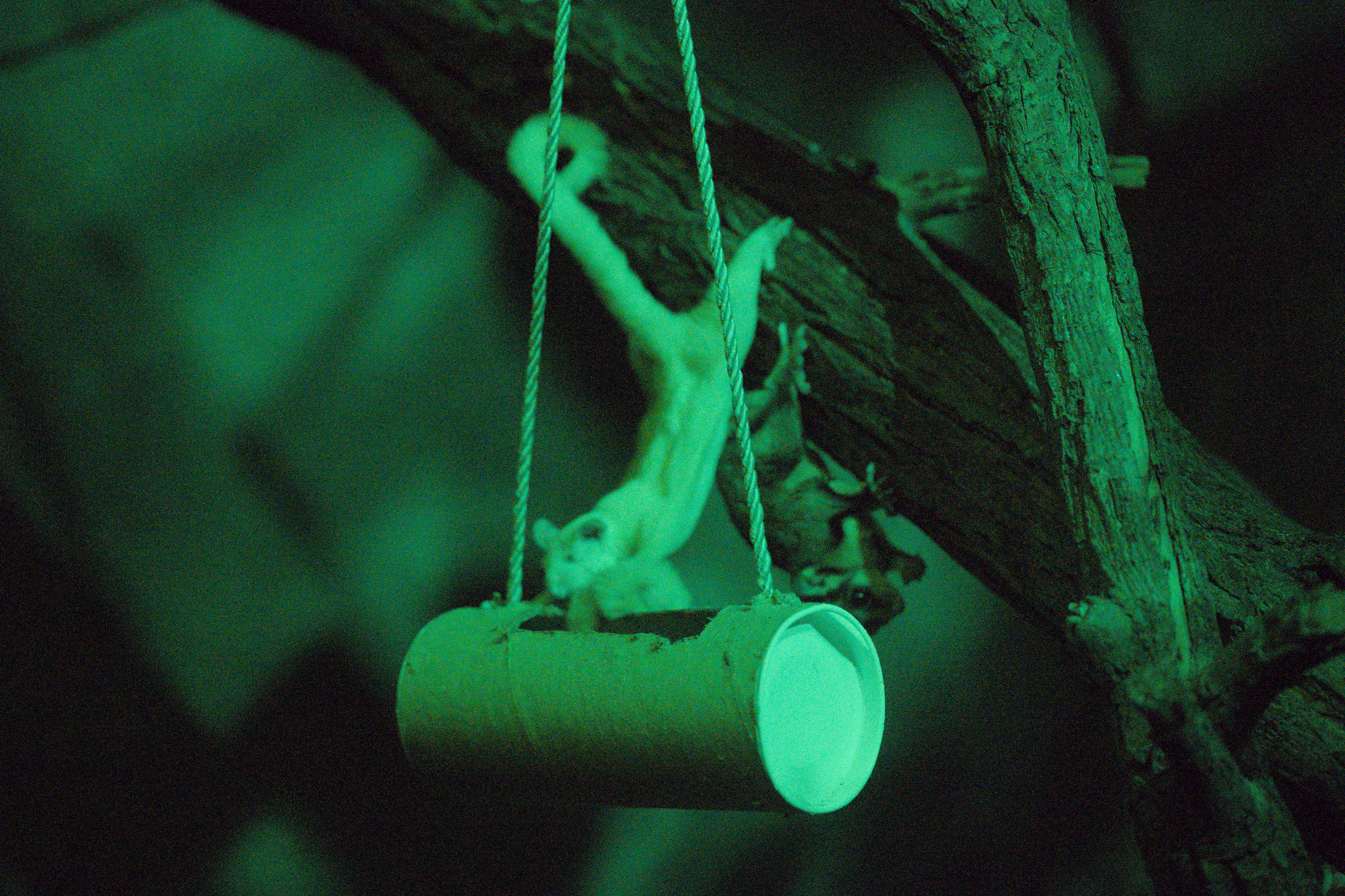 2025/10/12 - zoo/DSC_0261.jpg